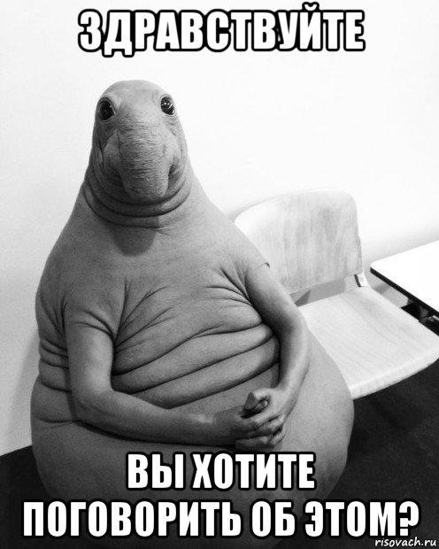здравствуйте вы хотите поговорить об этом?