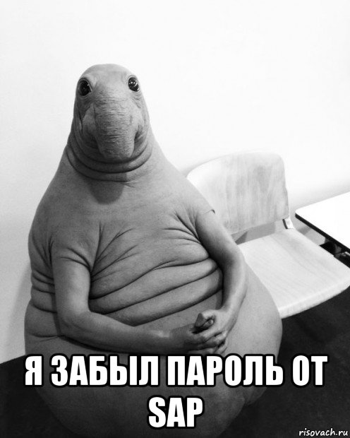  я забыл пароль от sap