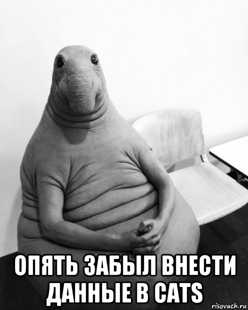 опять забыл внести данные в cats