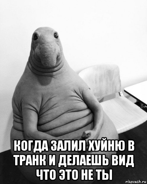  когда залил хуйню в транк и делаешь вид что это не ты