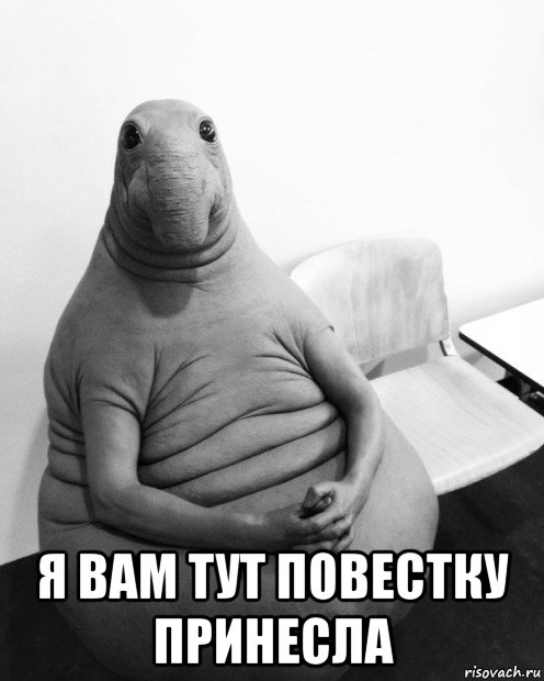  я вам тут повестку принесла