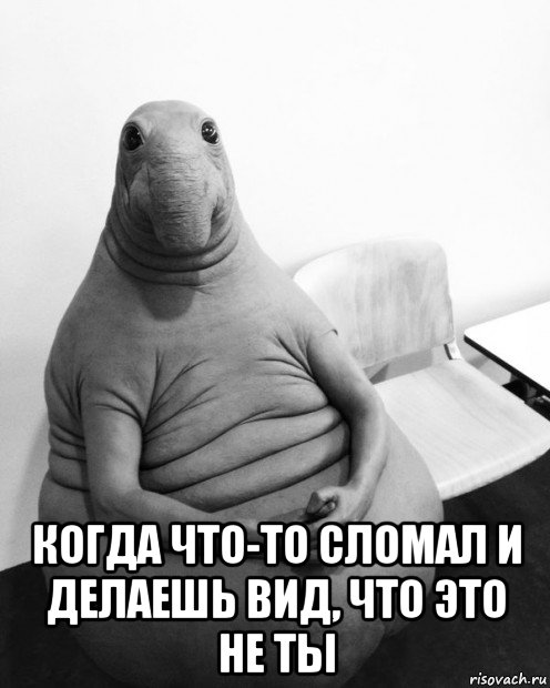  когда что-то сломал и делаешь вид, что это не ты