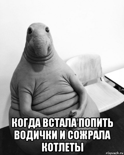  когда встала попить водички и сожрала котлеты