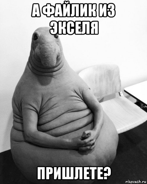 а файлик из экселя пришлете?