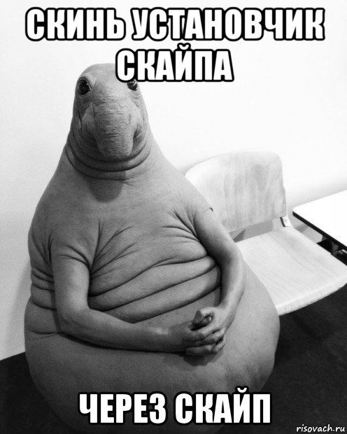 скинь установчик скайпа через скайп