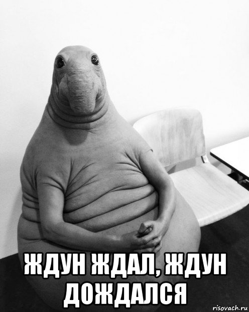  ждун ждал, ждун дождался