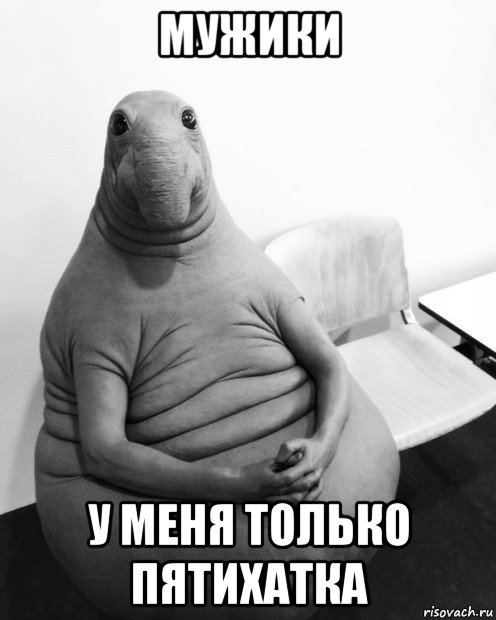 мужики у меня только пятихатка