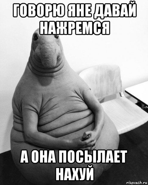 говорю яне давай нажремся а она посылает нахуй
