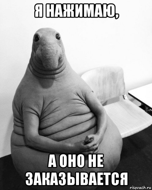 я нажимаю, а оно не заказывается