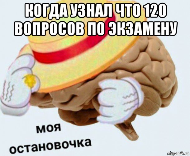 когда узнал что 120 вопросов по экзамену , Мем   Моя остановочка мозг