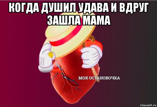 когда душил удава и вдруг зашла мама , Мем   Моя остановочка