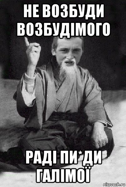 не возбуди возбудімого раді пи*ди галімої, Мем Мудрий паца