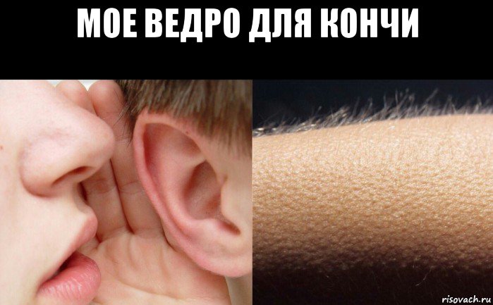 мое ведро для кончи 