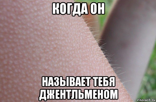 когда он называет тебя джентльменом