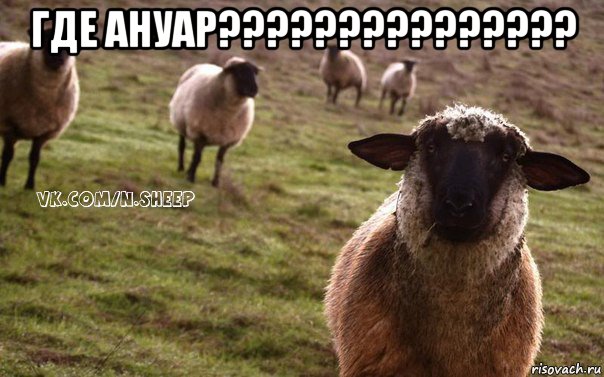 где ануар??????????????? 