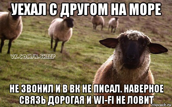 уехал с другом на море не звонил и в вк не писал. наверное связь дорогая и wi-fi не ловит