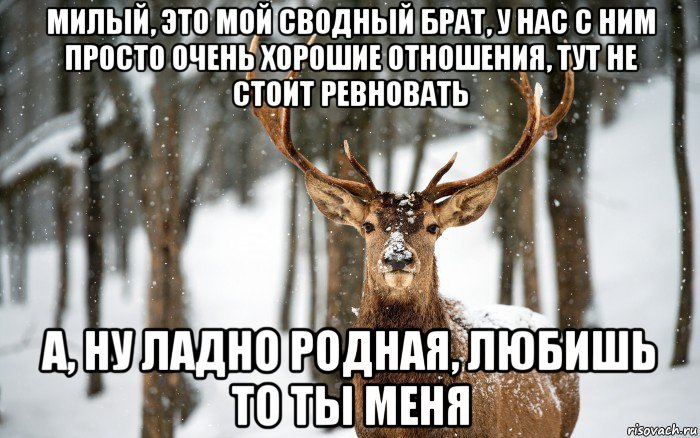 милый, это мой сводный брат, у нас с ним просто очень хорошие отношения, тут не стоит ревновать а, ну ладно родная, любишь то ты меня