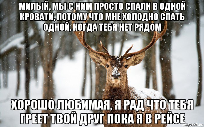 милый, мы с ним просто спали в одной кровати, потому что мне холодно спать одной, когда тебя нет рядом хорошо любимая, я рад что тебя греет твой друг пока я в рейсе