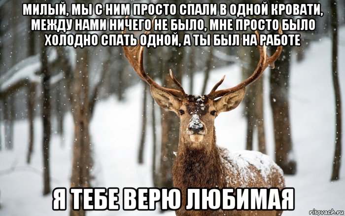 милый, мы с ним просто спали в одной кровати, между нами ничего не было, мне просто было холодно спать одной, а ты был на работе я тебе верю любимая