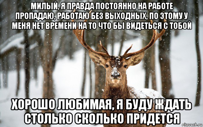 милый, я правда постоянно на работе пропадаю, работаю без выходных, по этому у меня нет времени на то что бы видеться с тобой хорошо любимая, я буду ждать столько сколько придется