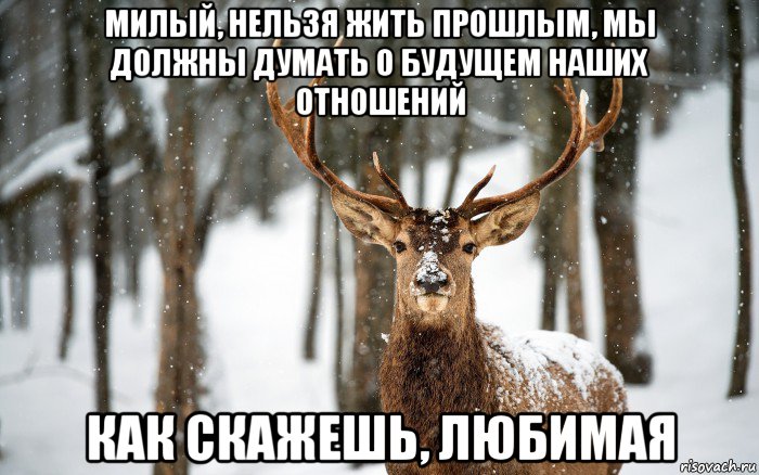 Не жалеешь о прошлых отношениях Не жалеешь о прошлых отношениях