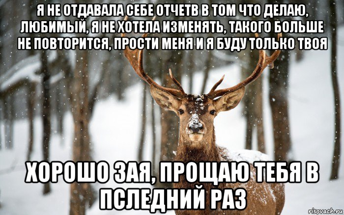 я не отдавала себе отчетв в том что делаю, любимый, я не хотела изменять, такого больше не повторится, прости меня и я буду только твоя хорошо зая, прощаю тебя в пследний раз