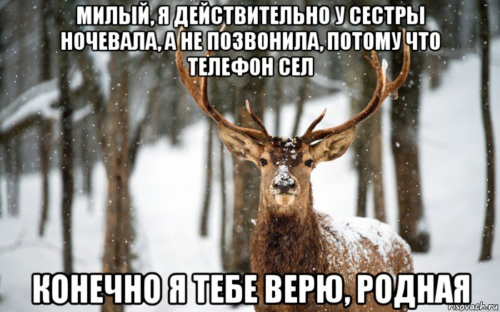 милый, я действительно у сестры ночевала, а не позвонила, потому что телефон сел конечно я тебе верю, родная