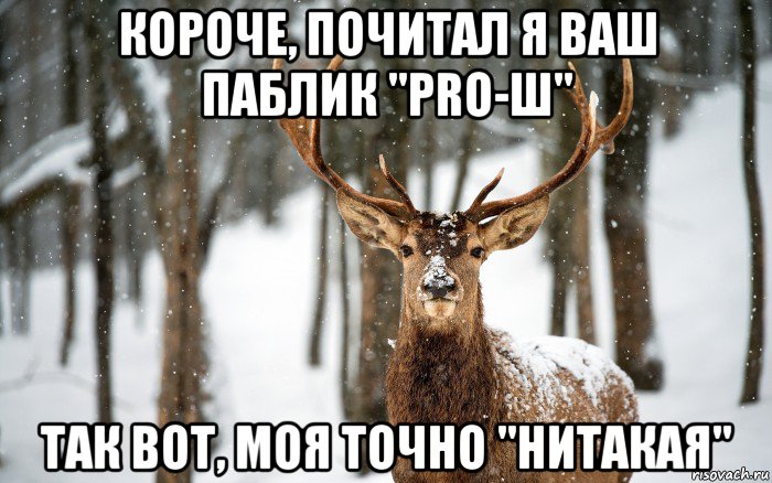 короче, почитал я ваш паблик "pro-ш" так вот, моя точно "нитакая"