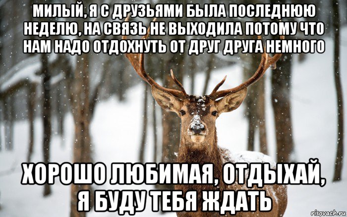 милый, я с друзьями была последнюю неделю, на связь не выходила потому что нам надо отдохнуть от друг друга немного хорошо любимая, отдыхай, я буду тебя ждать