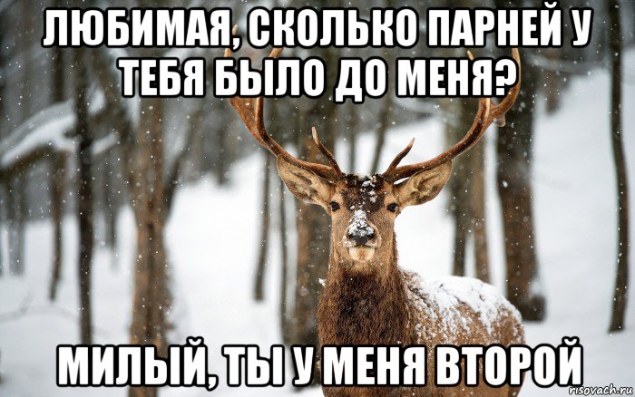 любимая, сколько парней у тебя было до меня? милый, ты у меня второй