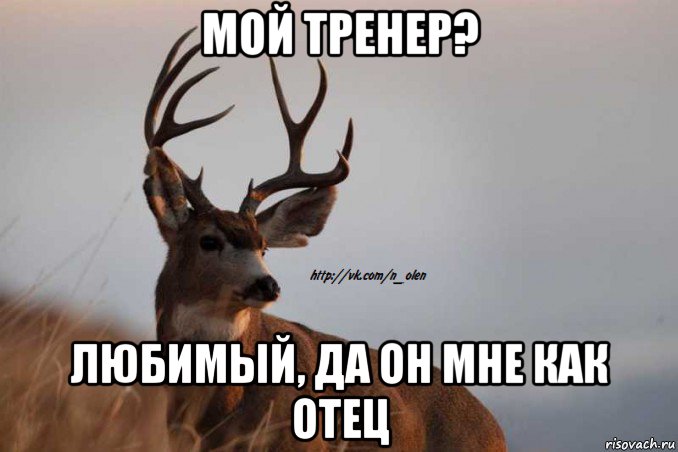 мой тренер? любимый, да он мне как отец, Мем Наивный Олень