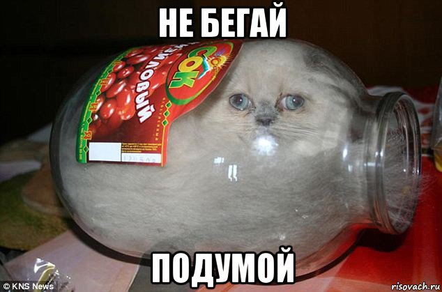 не бегай подумой