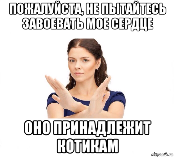 пожалуйста, не пытайтесь завоевать мое сердце оно принадлежит котикам, Мем Не зовите