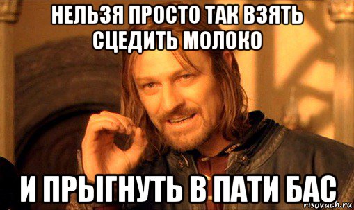 нельзя просто так взять сцедить молоко и прыгнуть в пати бас, Мем Нельзя просто так взять и (Боромир мем)