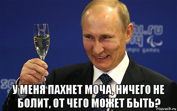 у меня пахнет моча, ничего не болит, от чего может быть?