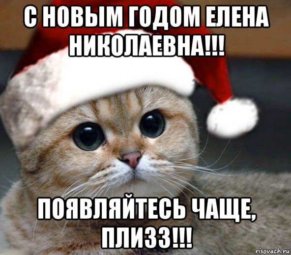 с новым годом елена николаевна!!! появляйтесь чаще, плизз!!!, Мем Новогодний искатель