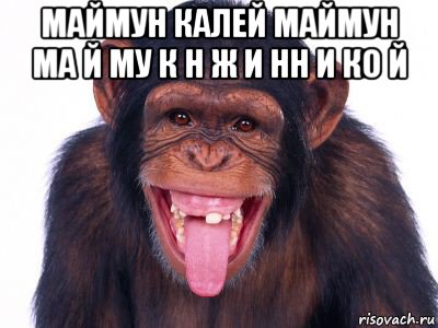 маймун калей маймун ма й му к н ж и нн и ко й 