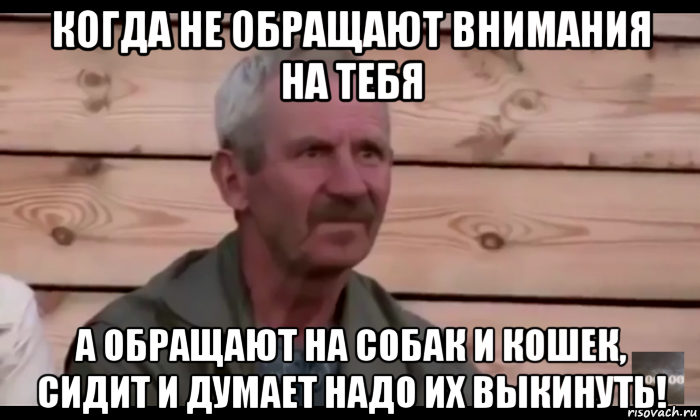 когда не обращают внимания на тебя а обращают на собак и кошек, сидит и думает надо их выкинуть!, Мем  Охуевающий дед