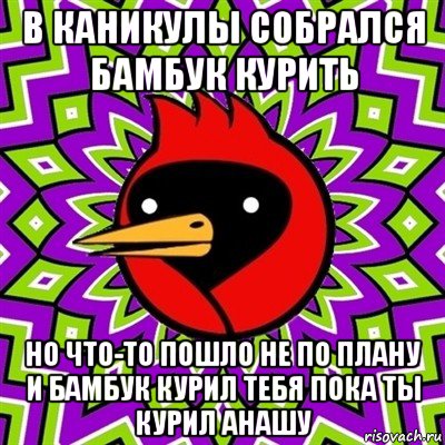 в каникулы собрался бамбук курить но что-то пошло не по плану и бамбук курил тебя пока ты курил анашу, Мем Омская птица