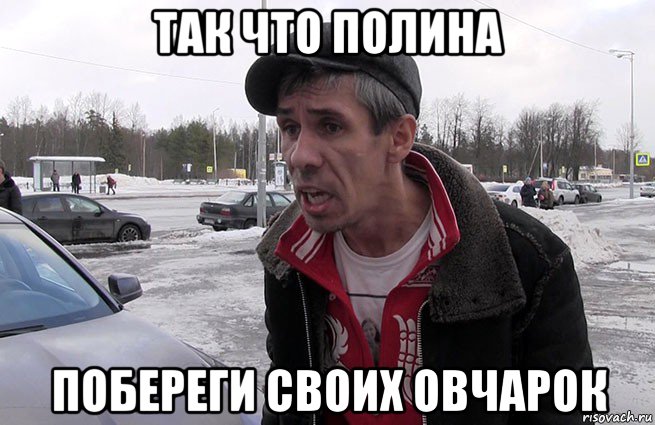 так что полина побереги своих овчарок