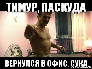 тимур, паскуда вернулся в офис, сука, Мем Паскуда тварь