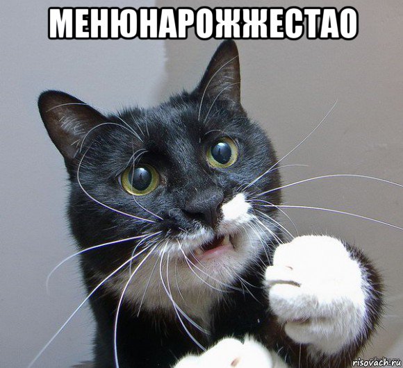 менюнарожжестао 