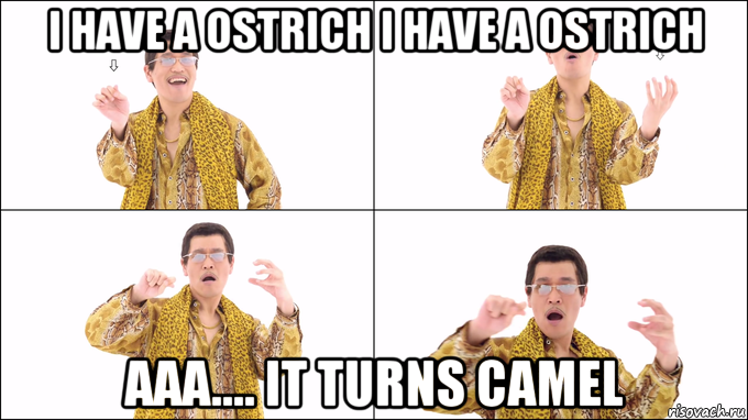 i have a ostrich i have a ostrich aaa.... it turns camel