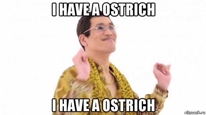 i have a ostrich i have a ostrich