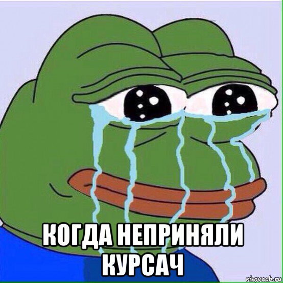  когда неприняли курсач