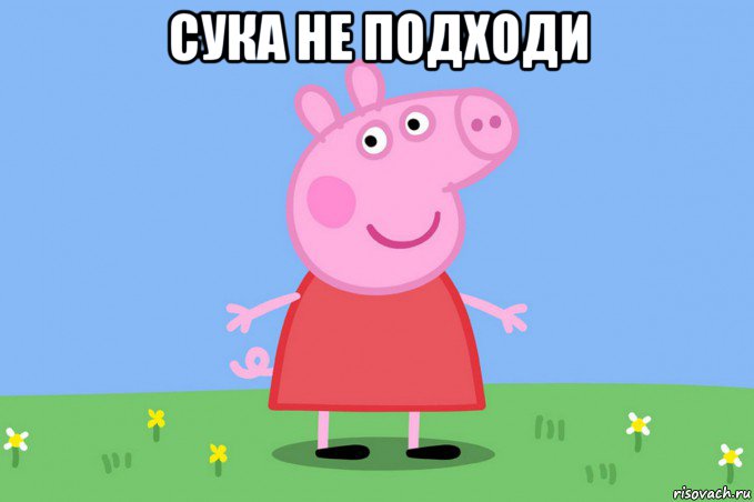 сука не подходи , Мем Пеппа