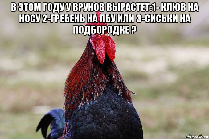 в этом году у врунов вырастет:1- клюв на носу 2-гребень на лбу или 3-сиськи на подбородке ? 