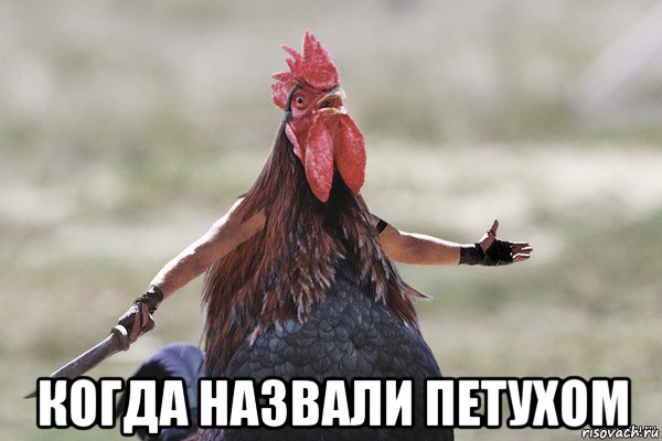  когда назвали петухом