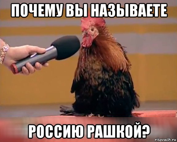 почему вы называете россию рашкой?