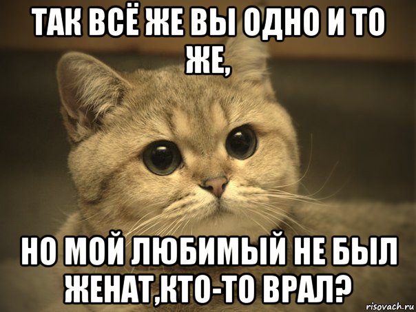 так всё же вы одно и то же, но мой любимый не был женат,кто-то врал?, Мем Пидрила ебаная котик